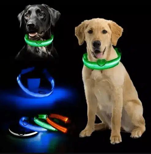 Collar luminoso para mascotas para perros y gatos, utilizado para