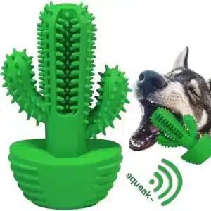 Juguete Mordedor Rasca Encias Anti Estres Cactus Para Perros