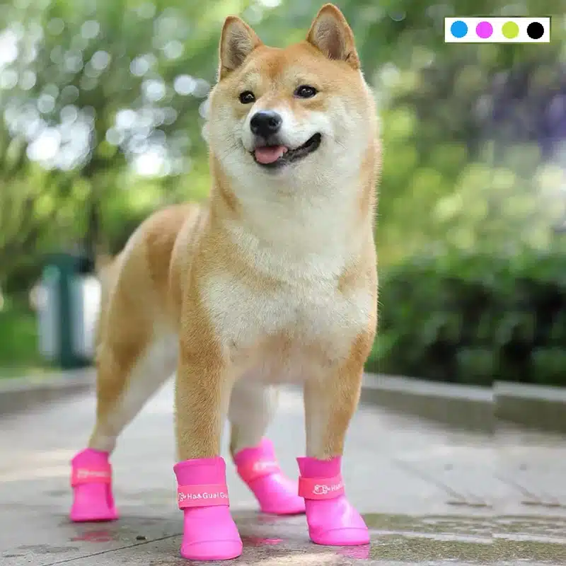 Zapatos Para Perros En Silicona Goma Ergonómicos Talla Xl -
