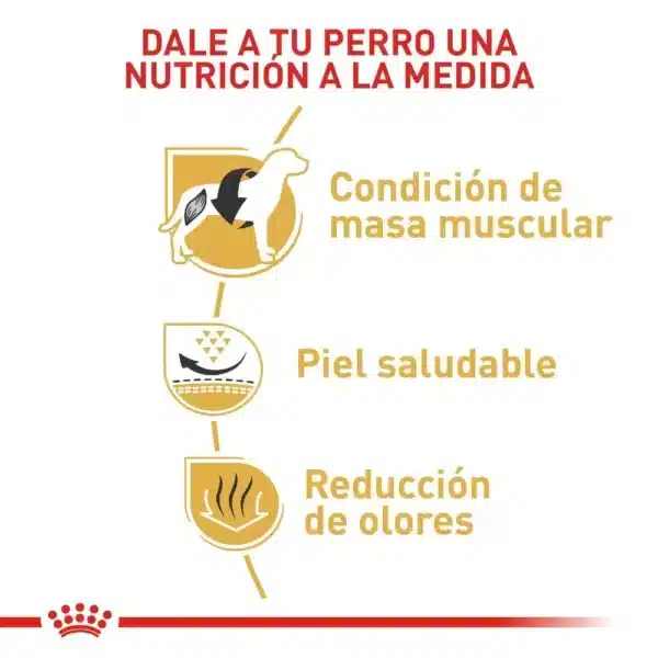 Alimento Para Perro Royal Canin Bhn Bulldog Frances Adulto