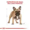 Alimento Para Perro Royal Canin Bhn Bulldog Frances Adulto