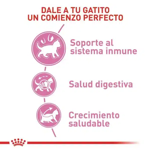 beneficio alimento royal canin kitten