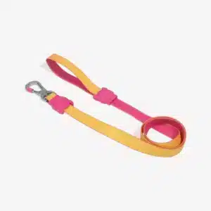 Correa para perro Zee.dog Neopro lyra L Large