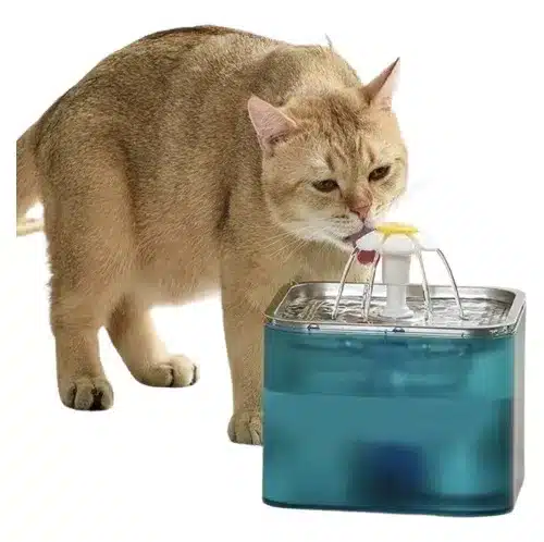 Fuente De Agua para gato En Acero Inoxidable 3 Litros