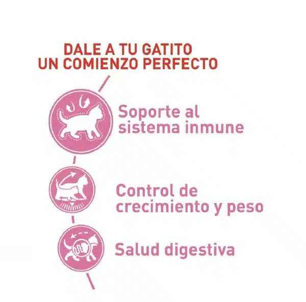 beneficios de la comida royal canin para gato esterilizado